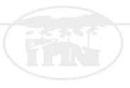 logo i pini